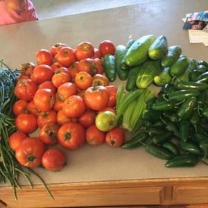 Meet your Posher, Marie